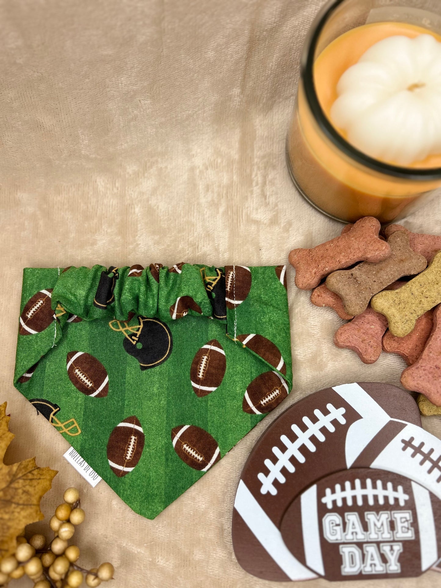 Fetch & Football
