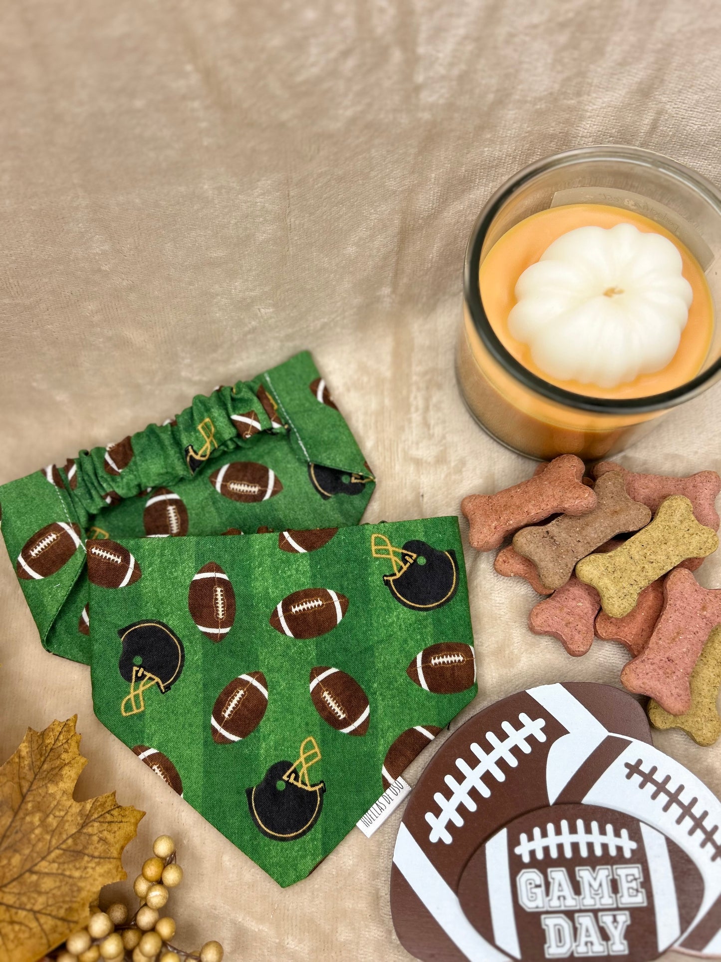 Fetch & Football