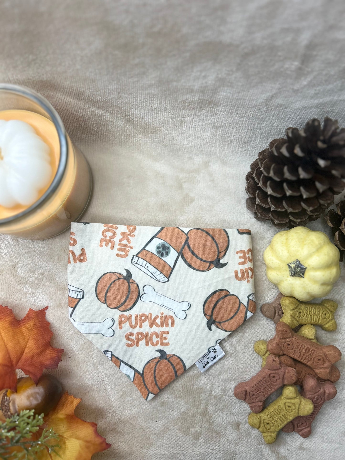 Pupkin Spice