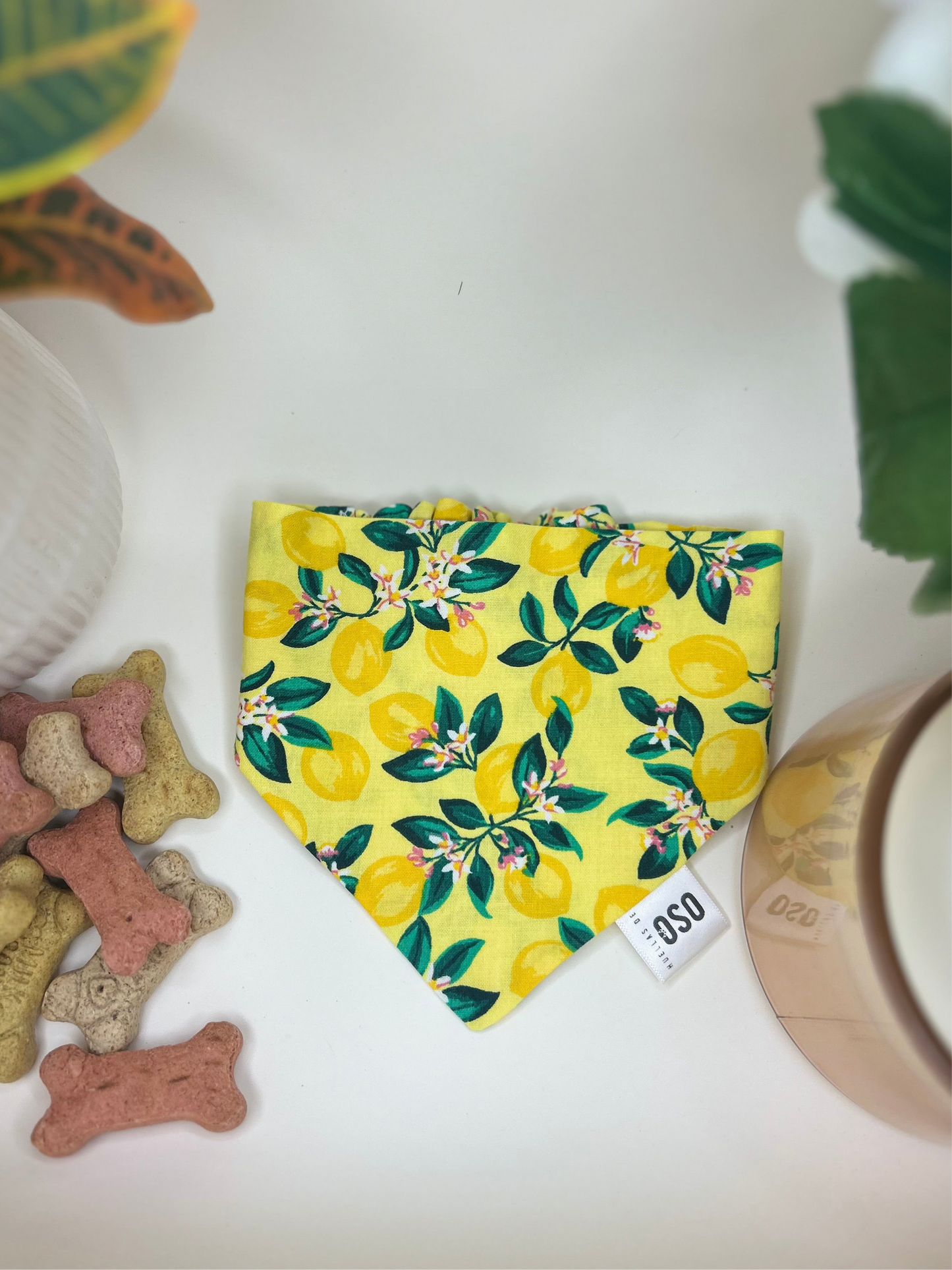Main squeeze Bandana