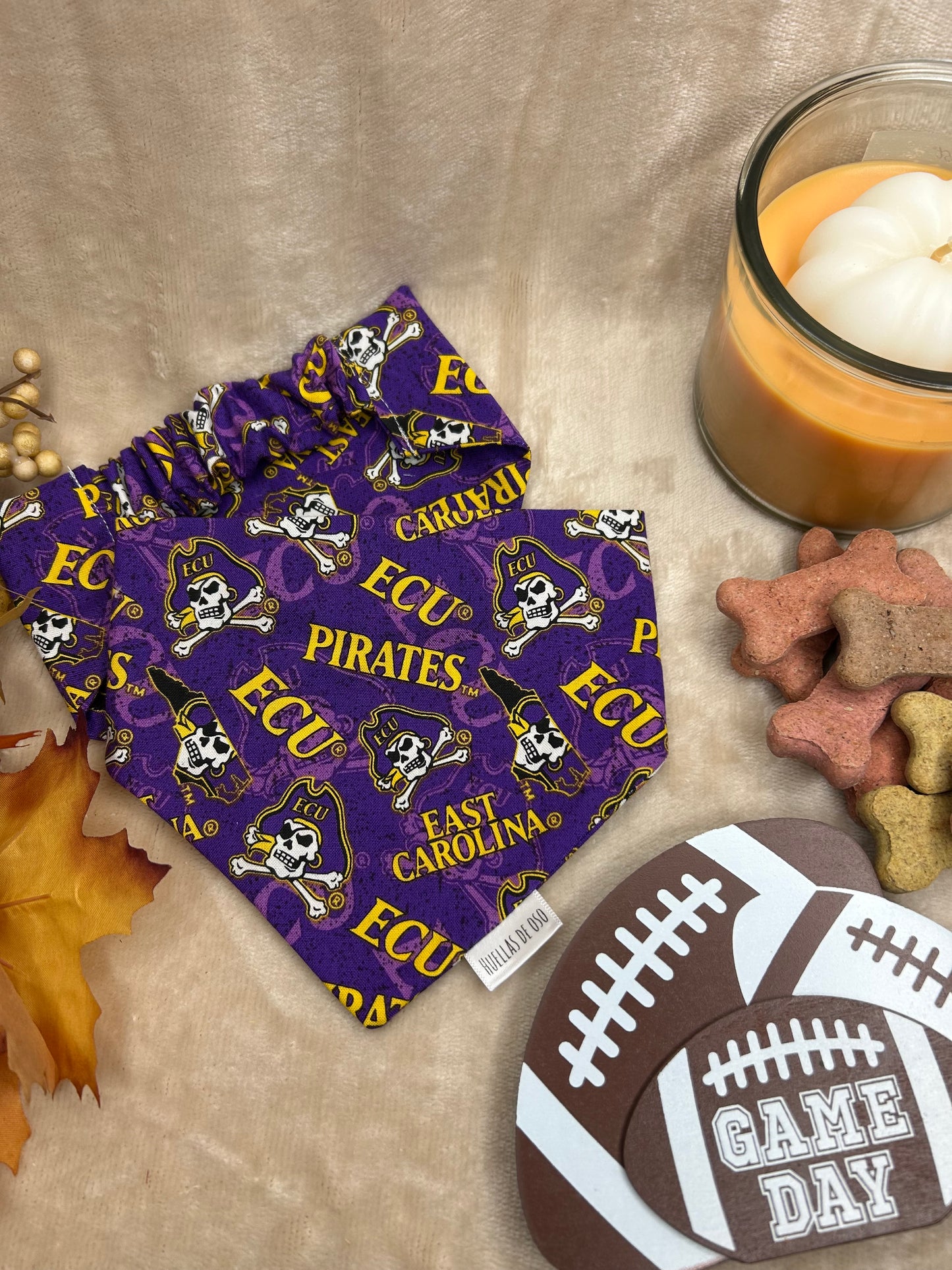 ECU Pirates