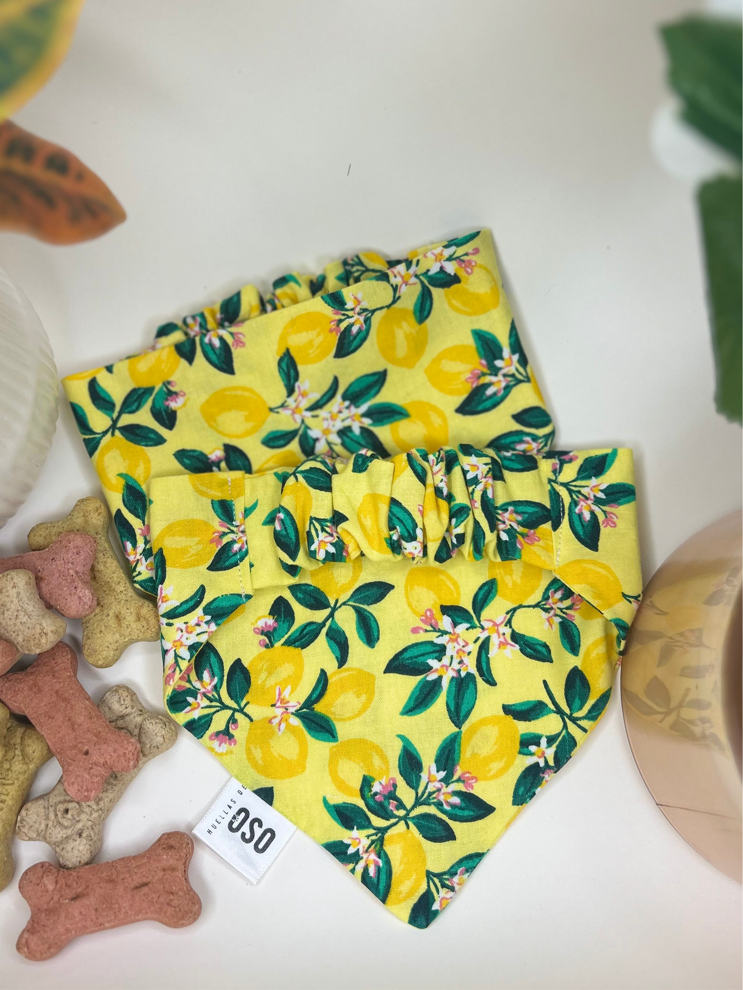 Main squeeze Bandana