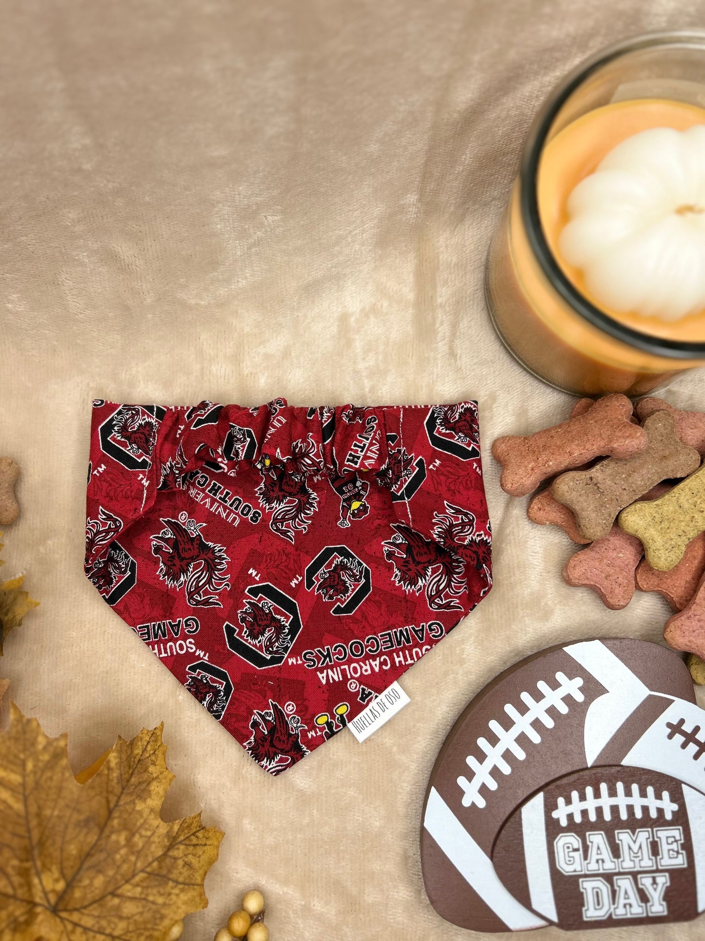 Gamecock Game Day