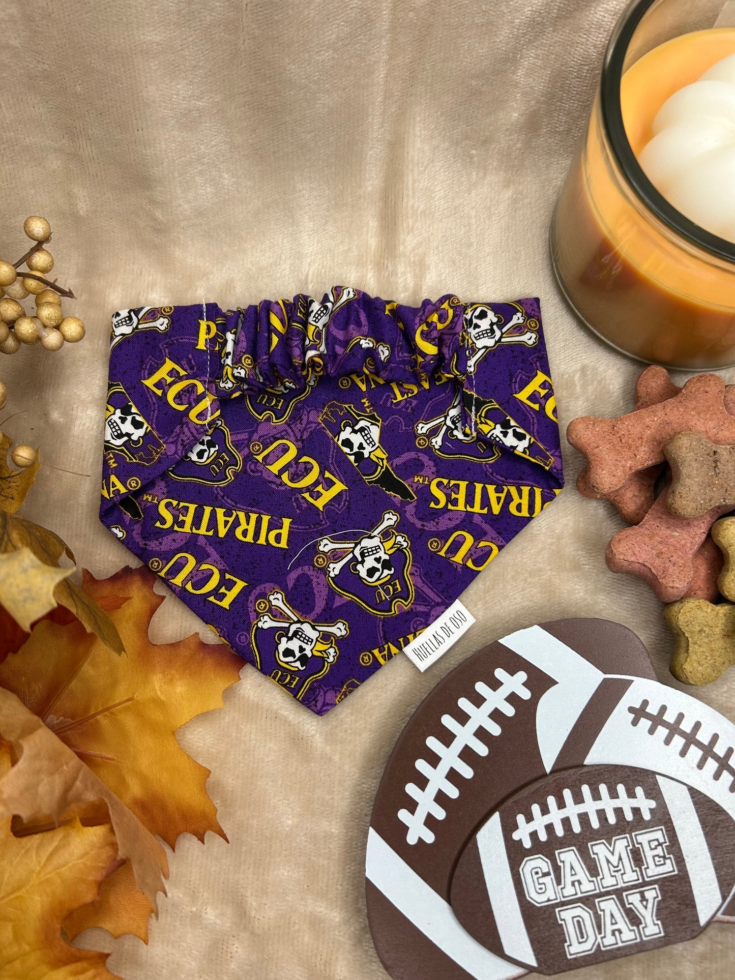 ECU Pirates