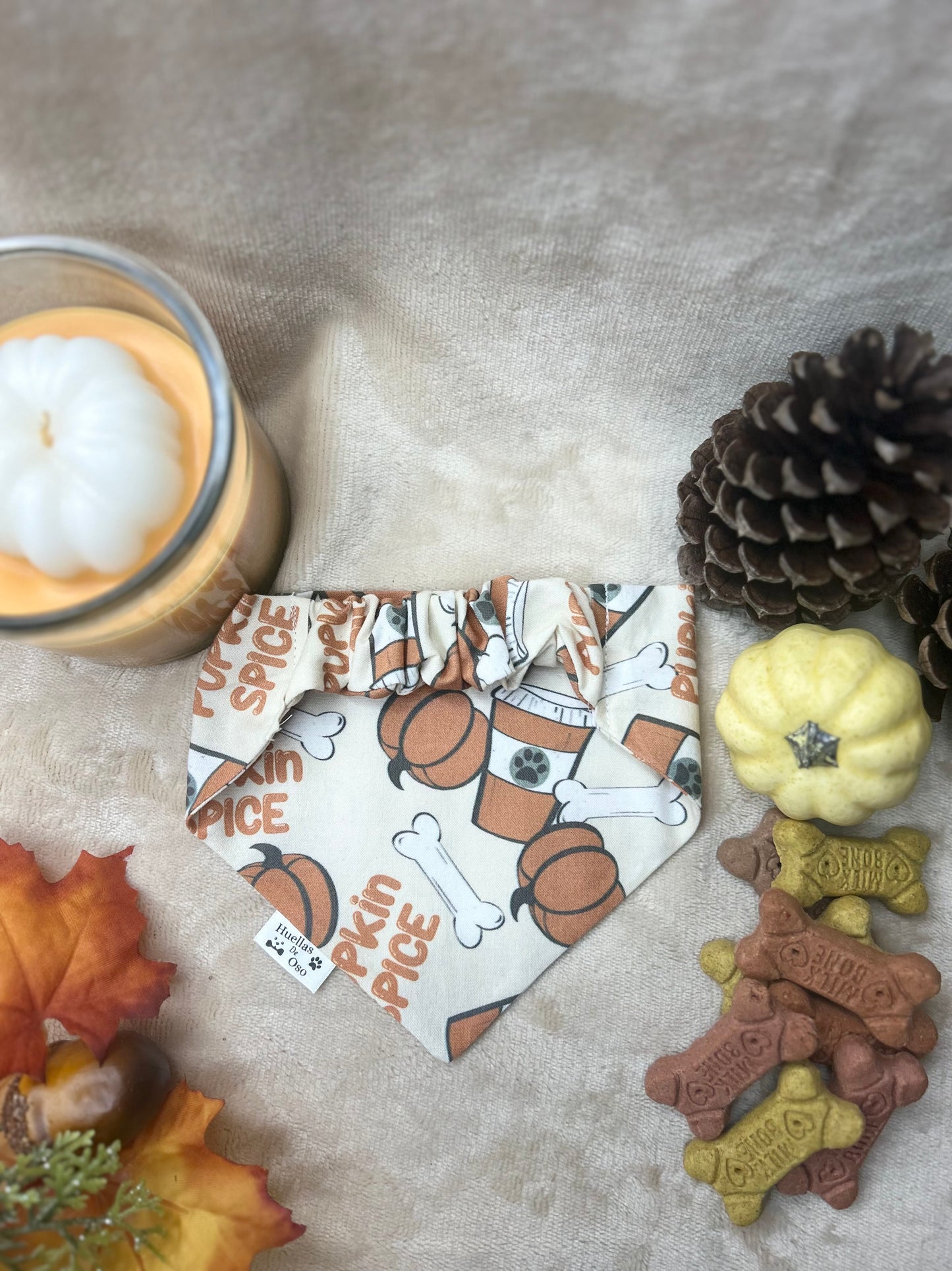 Pupkin Spice