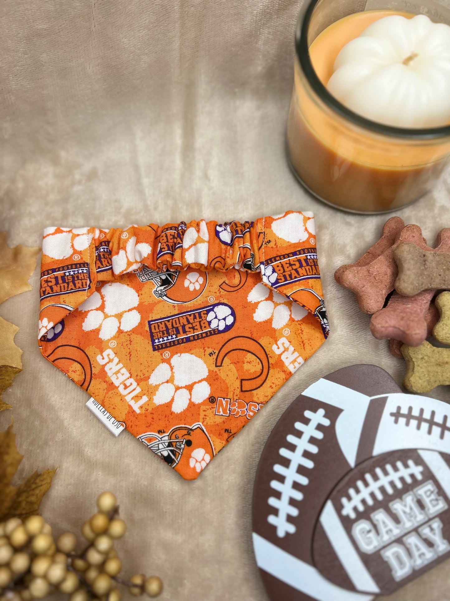 Touchdown Tiger