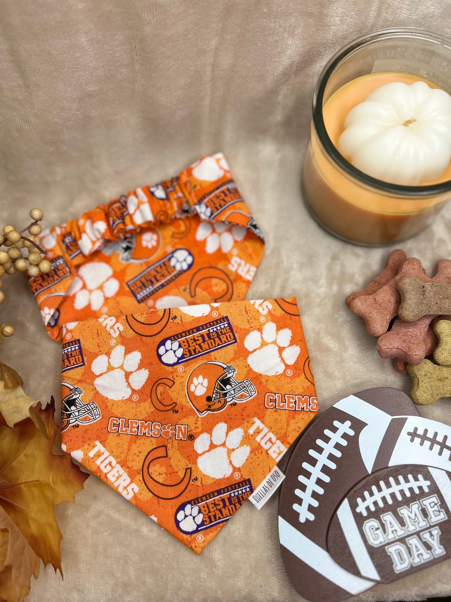 Touchdown Tiger