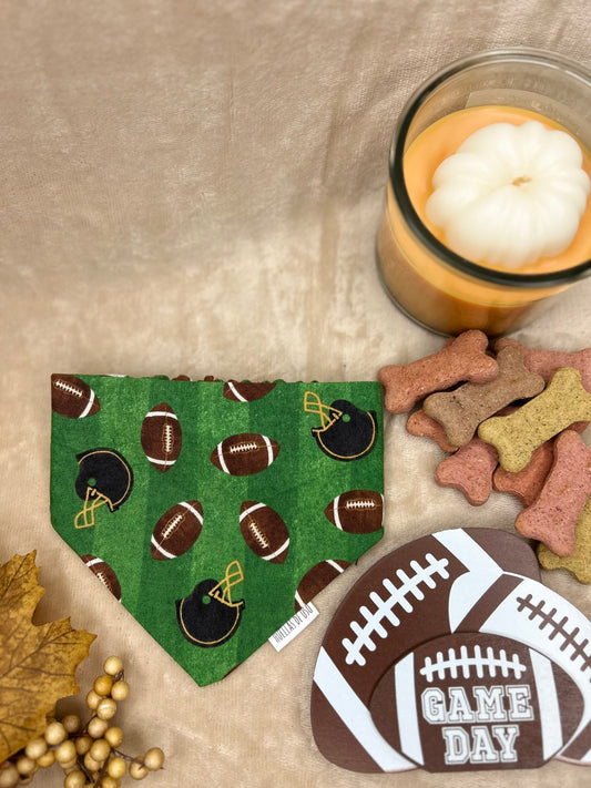 Fetch & Football