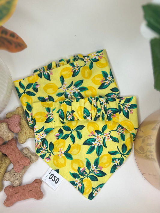 Main squeeze Bandana