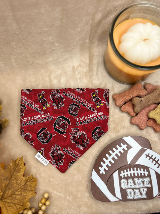 Gamecock Game Day
