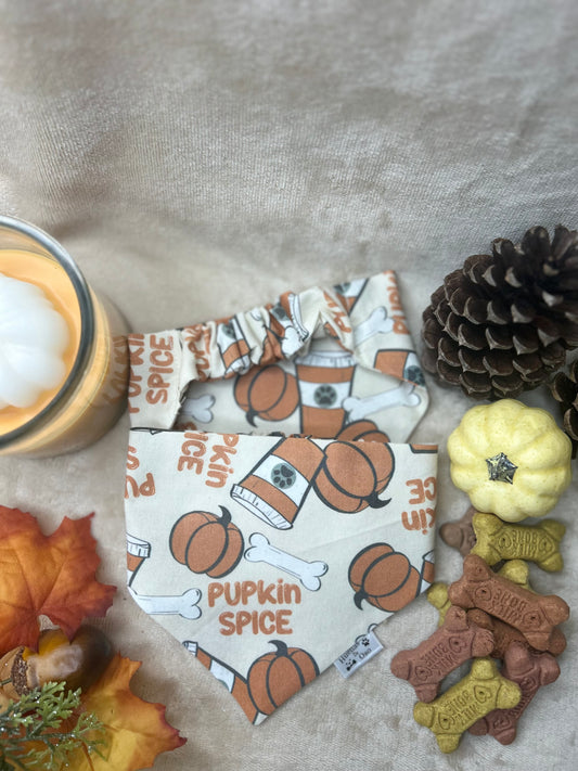 Pupkin Spice