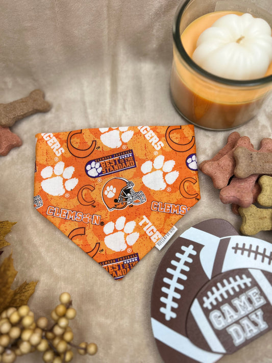 Touchdown Tiger